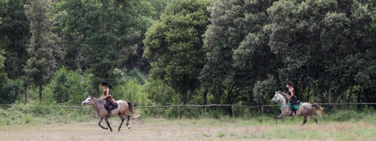 Casa Pharus Βίλα Bale Εξωτερικό φωτογραφία